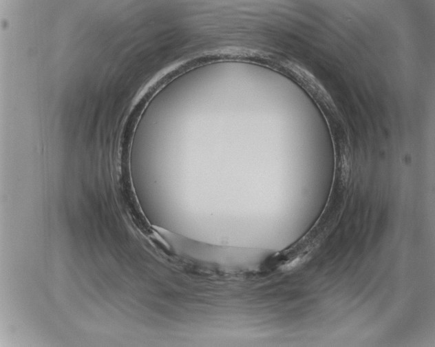 X0000086310484200704271856