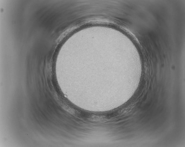 X0000086310487200704271856