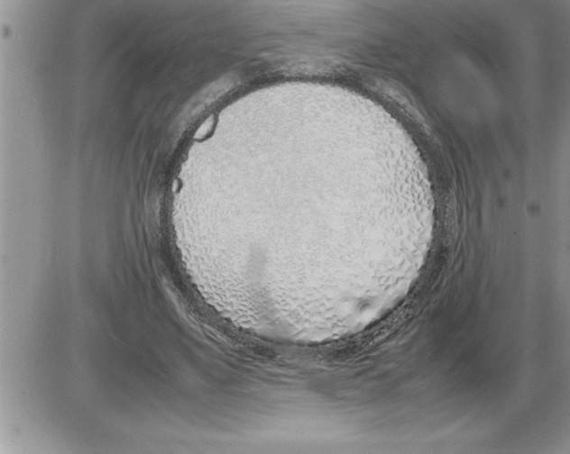 X0000086310491200704271856