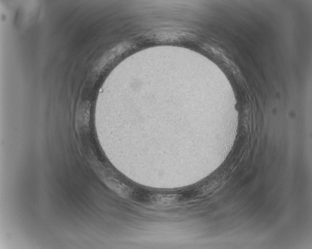 X0000086310495200704271856