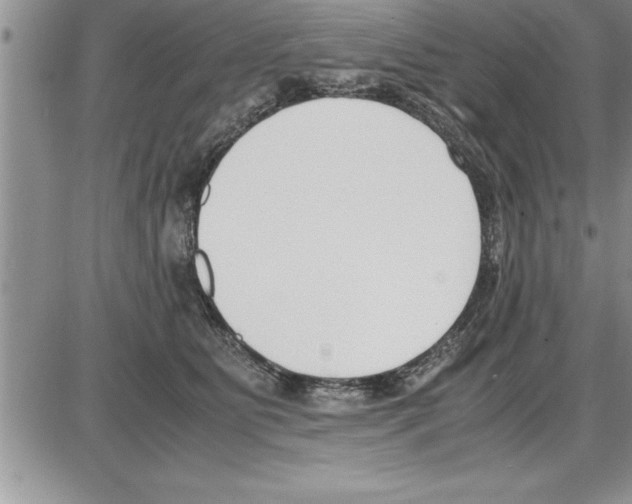 X0000086310515200704271855