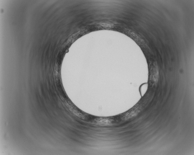 X0000086310518200704271855