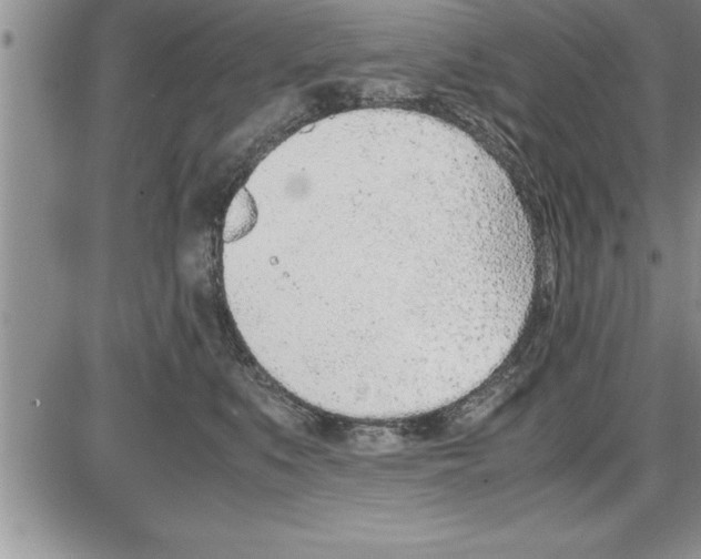 X0000086310519200704271855