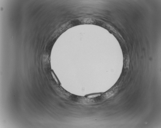 X0000086310521200704271855