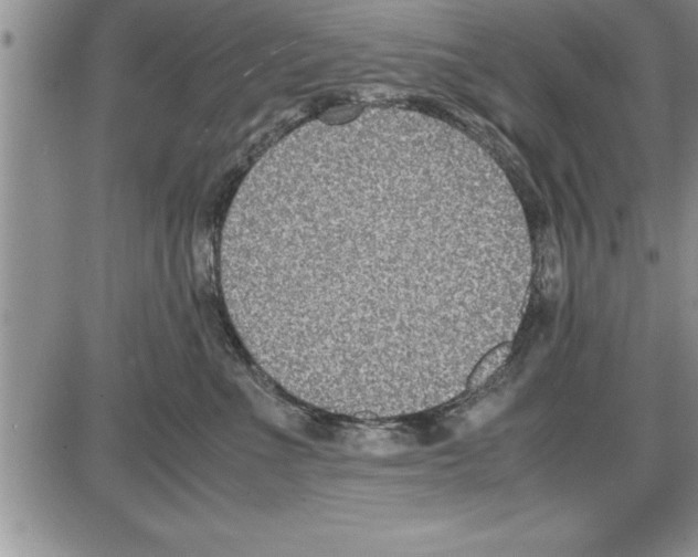 X0000086310523200704271855