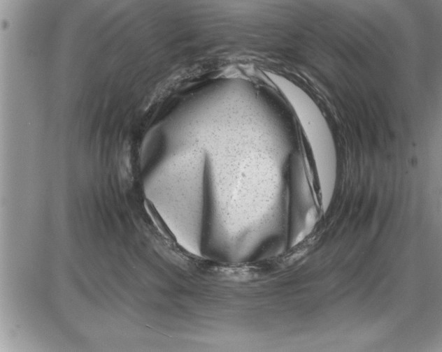 X0000086310524200704271855
