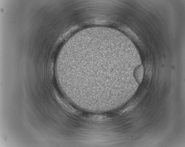 X0000086310542200704271855