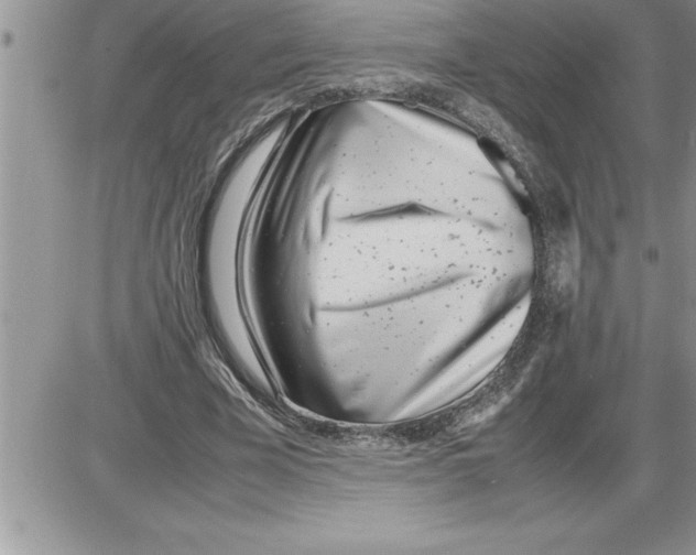 X0000086310585200704271854