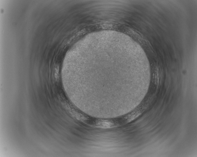 X0000086310610200704271854