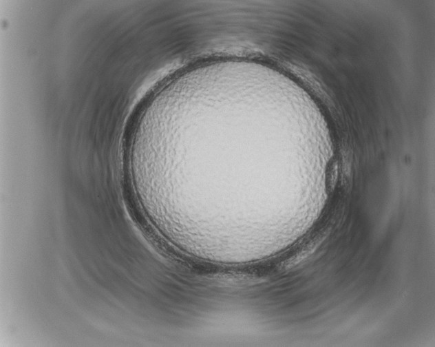 X0000086310630200704271853
