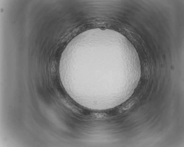 X0000086310654200704271853