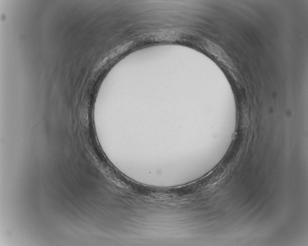 X0000086310681200704271853