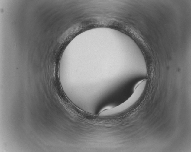 X0000086310685200704271853