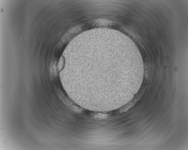 X0000086310718200704271852