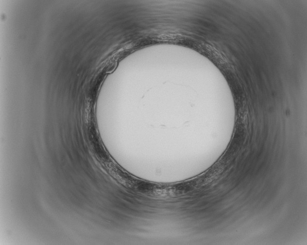 X0000086310744200704271852