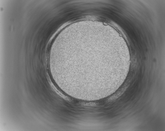 X0000086310851200704271850