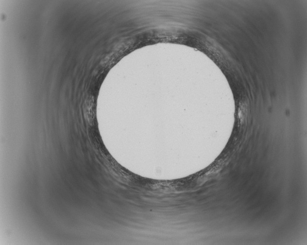 X0000086310867200704271850