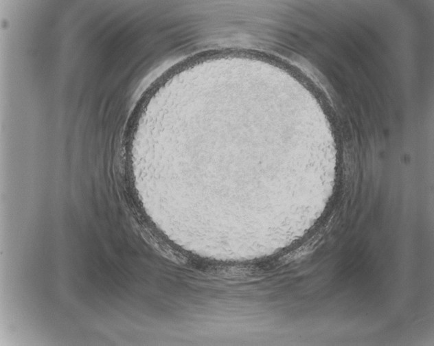 X0000086310879200704271850