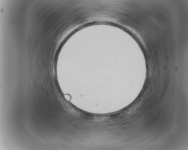 X0000086310887200704271849