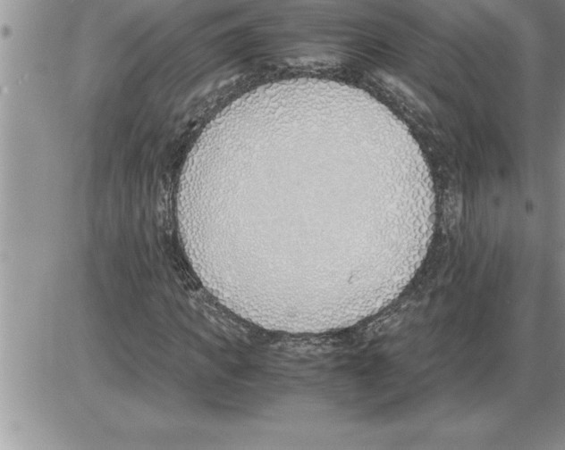 X0000086310917200704271848