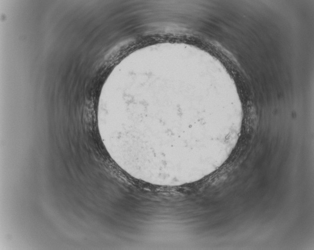 X0000086310918200704271848