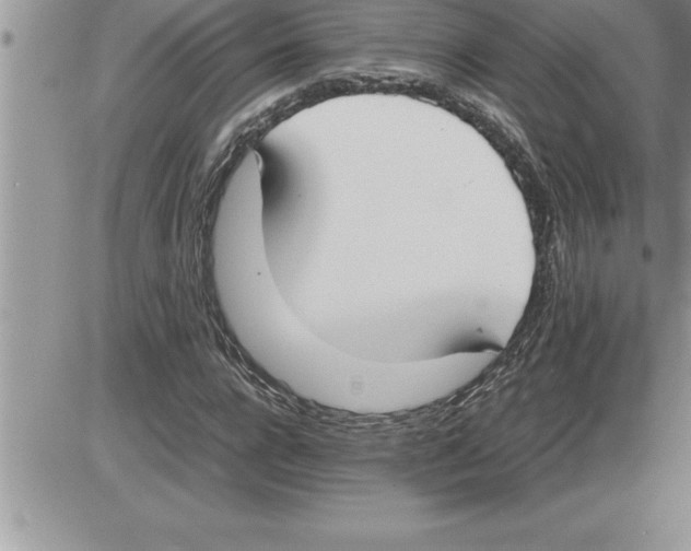 X0000086310920200704271848