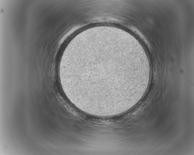 X0000086310975200704271848