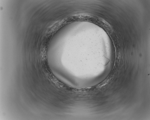 X0000086311014200704271847