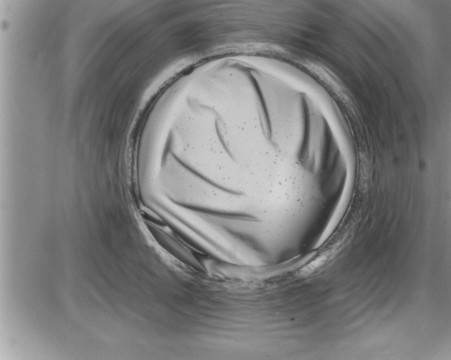 X0000086311046200704271847