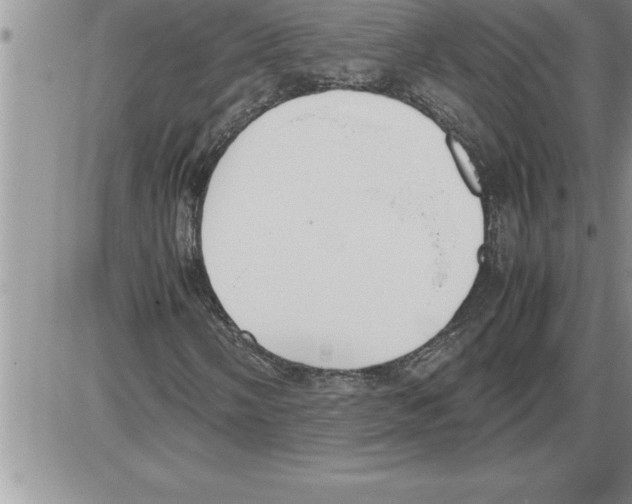 X0000086311058200704271847