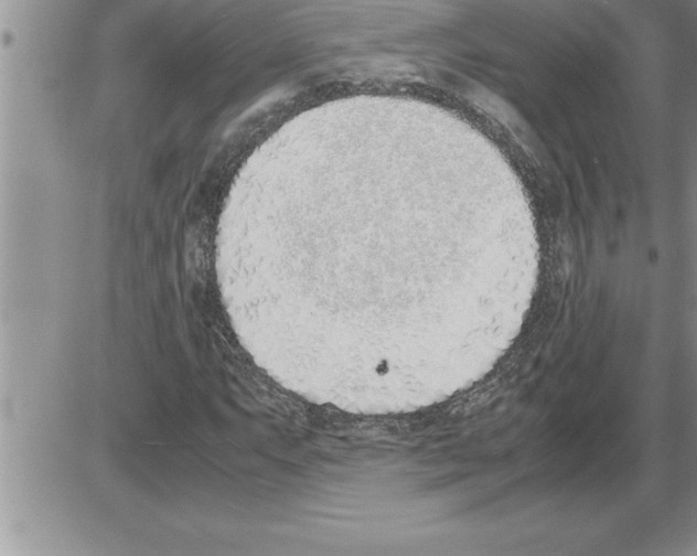 X0000086311063200704271847