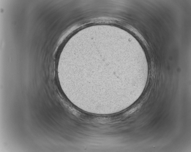 X0000086311075200704271846