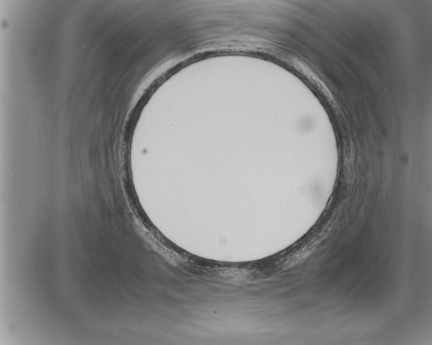 X0000086311085200704271846