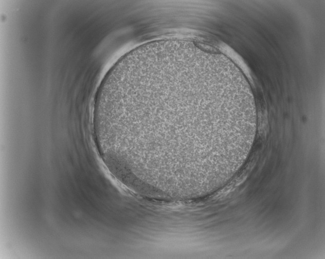 X0000086311099200704271846