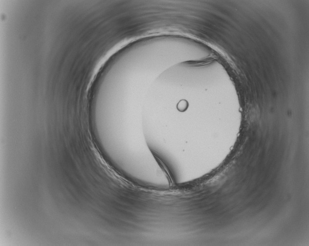 X0000086311118200704271845