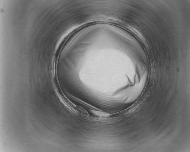 X0000086311128200704271846