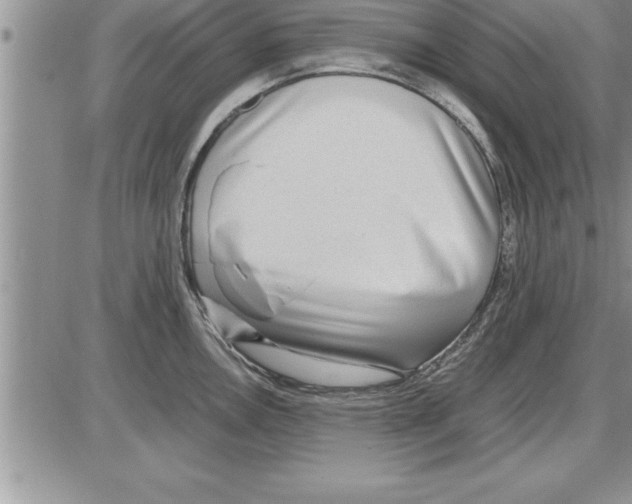 X0000086311146200704271846