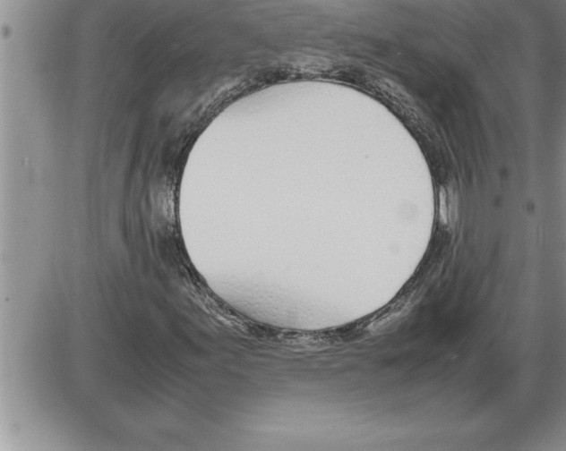 X0000086311155200704271845