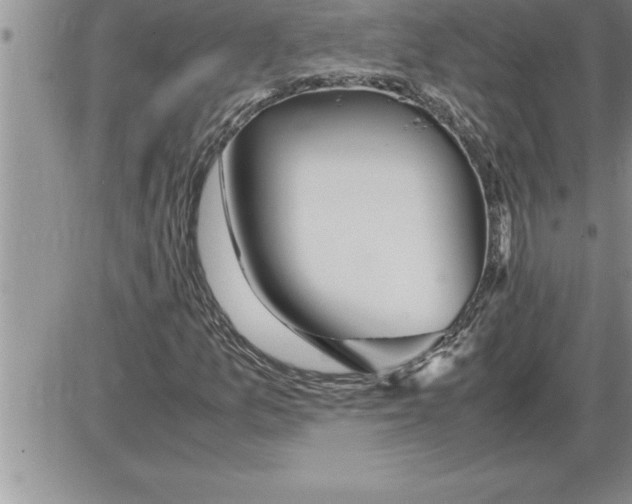 X0000086311157200704271845