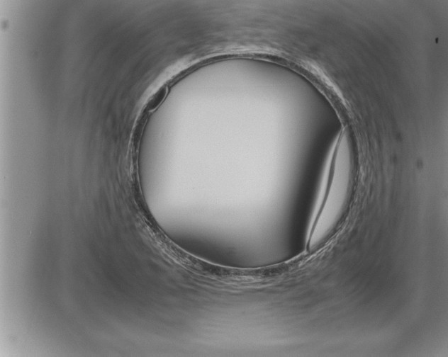 X0000086311173200704271845