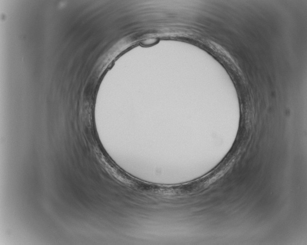 X0000086311177200704271845