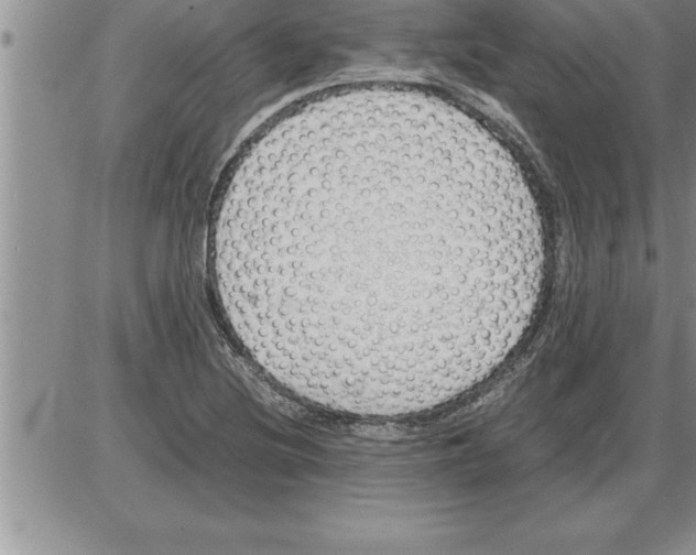 X0000086311220200704271844