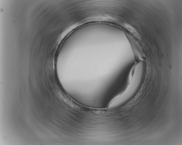 X0000086311226200704271844