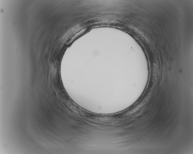 X0000086311257200704271843