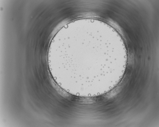 X0000086311338200704271843