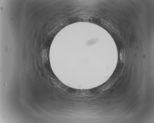 X0000086311347200704271842