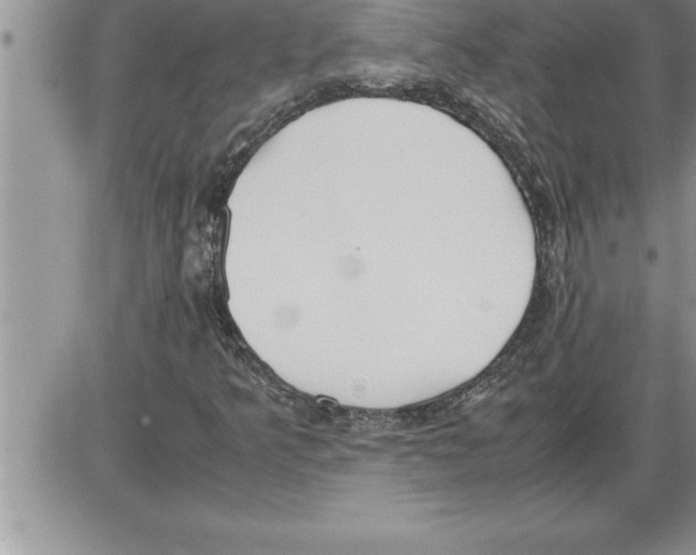 X0000086311349200704271842