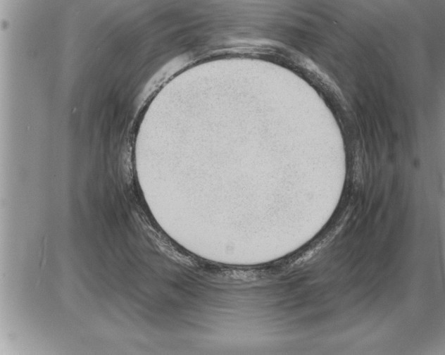 X0000086311362200704271842
