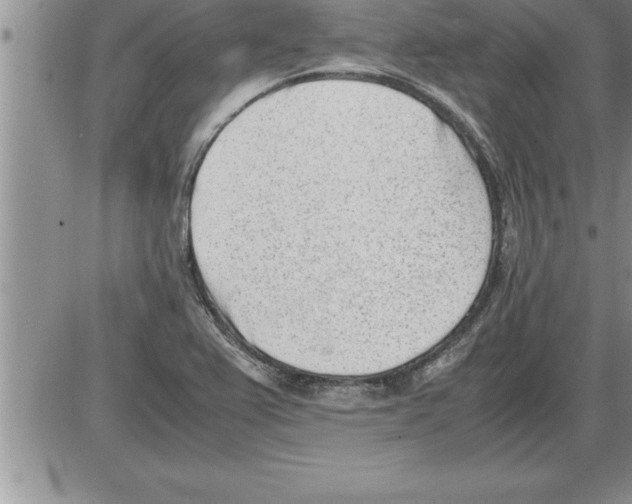 X0000086311367200704271842