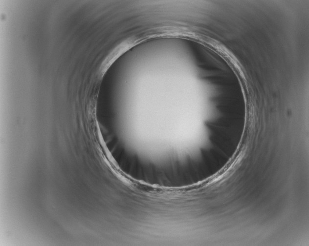 X0000086311385200704271841